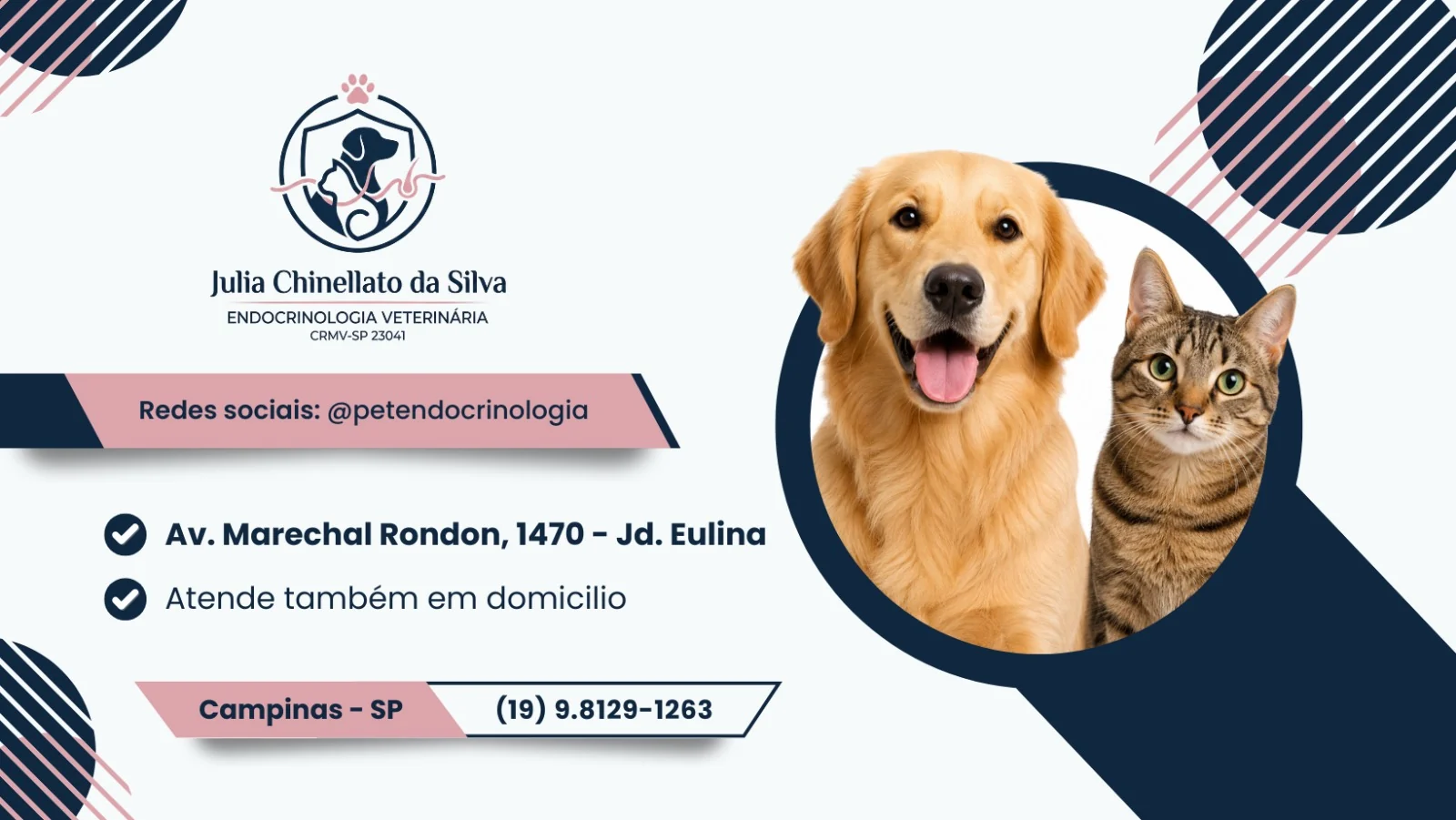 Julia Chinellato da Silva - Endocrinologia Veterinária em Campinas